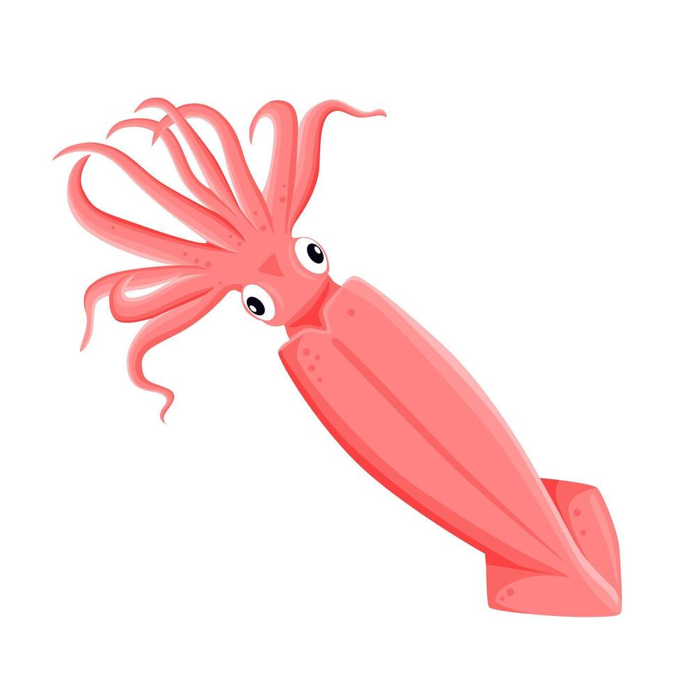 squid isolated on white background. eps 10 vector