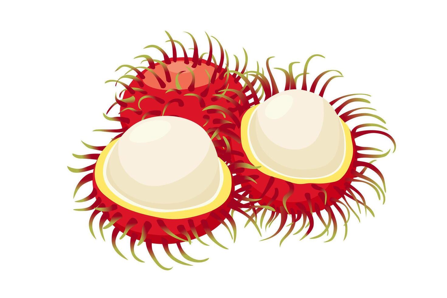 rambutan fruit icon.Cartoon icon isolated on white background vector