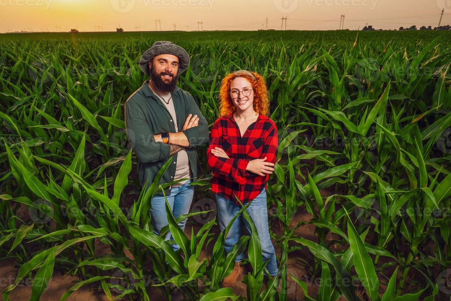 Family agricultural occupation. Man and woman are cultivating corn. They are satisfied with good progress of plants. photo