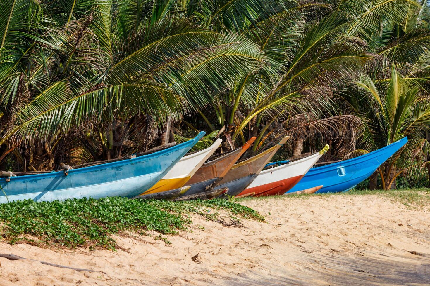 Tropical beach with row of fishing boats, Mirissa, Sri lanka photo