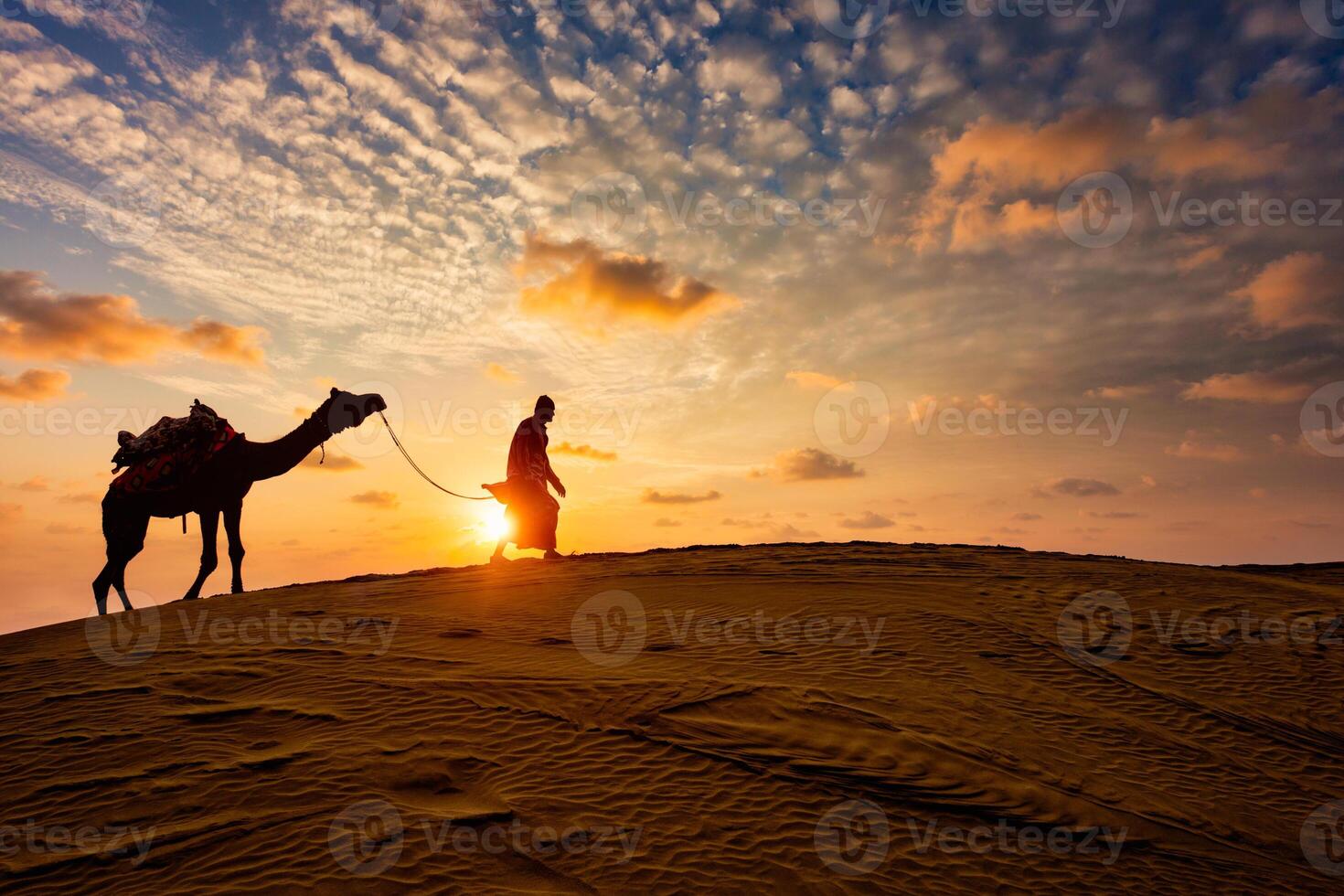 Indian cameleer camel driver with camel silhouettes in dunes on sunset. Jaisalmer, Rajasthan, India photo