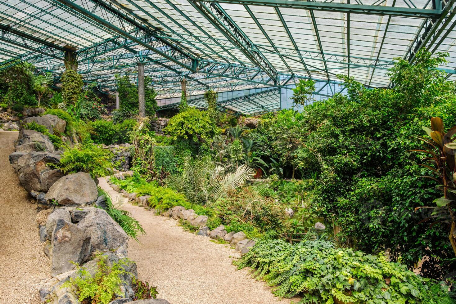 The cold house Estufa Fria is a greenhouse with gardens, ponds, plants and trees in Lisbon, Portugal photo