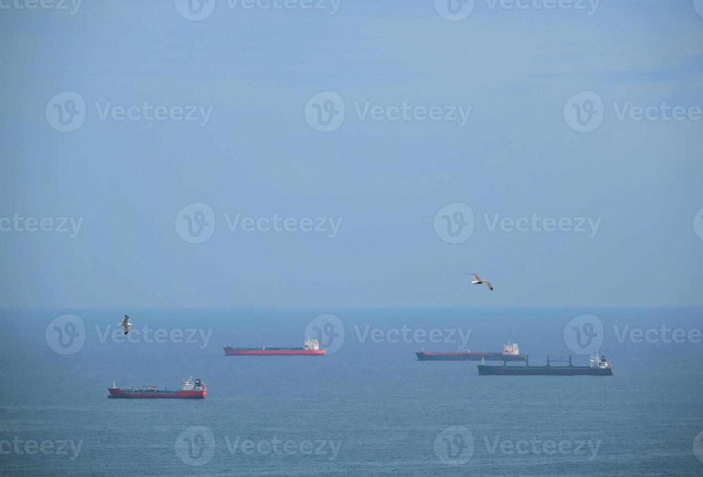 Cargo ships in sea and seagulls flying in the air photo