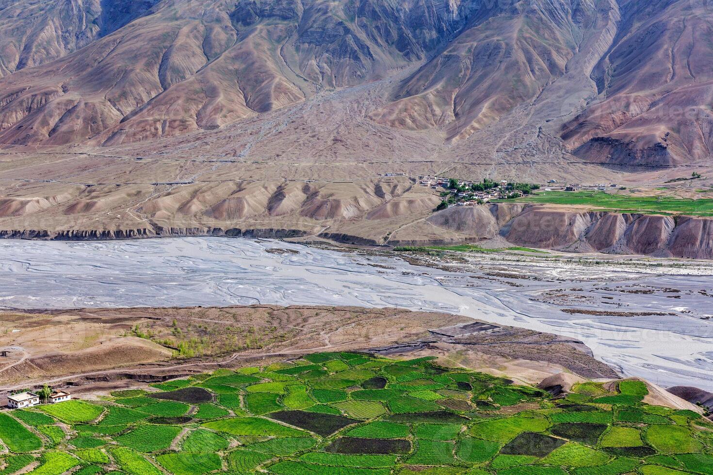 View of Spiti valley with green fields. Himachal Pradesh, India photo