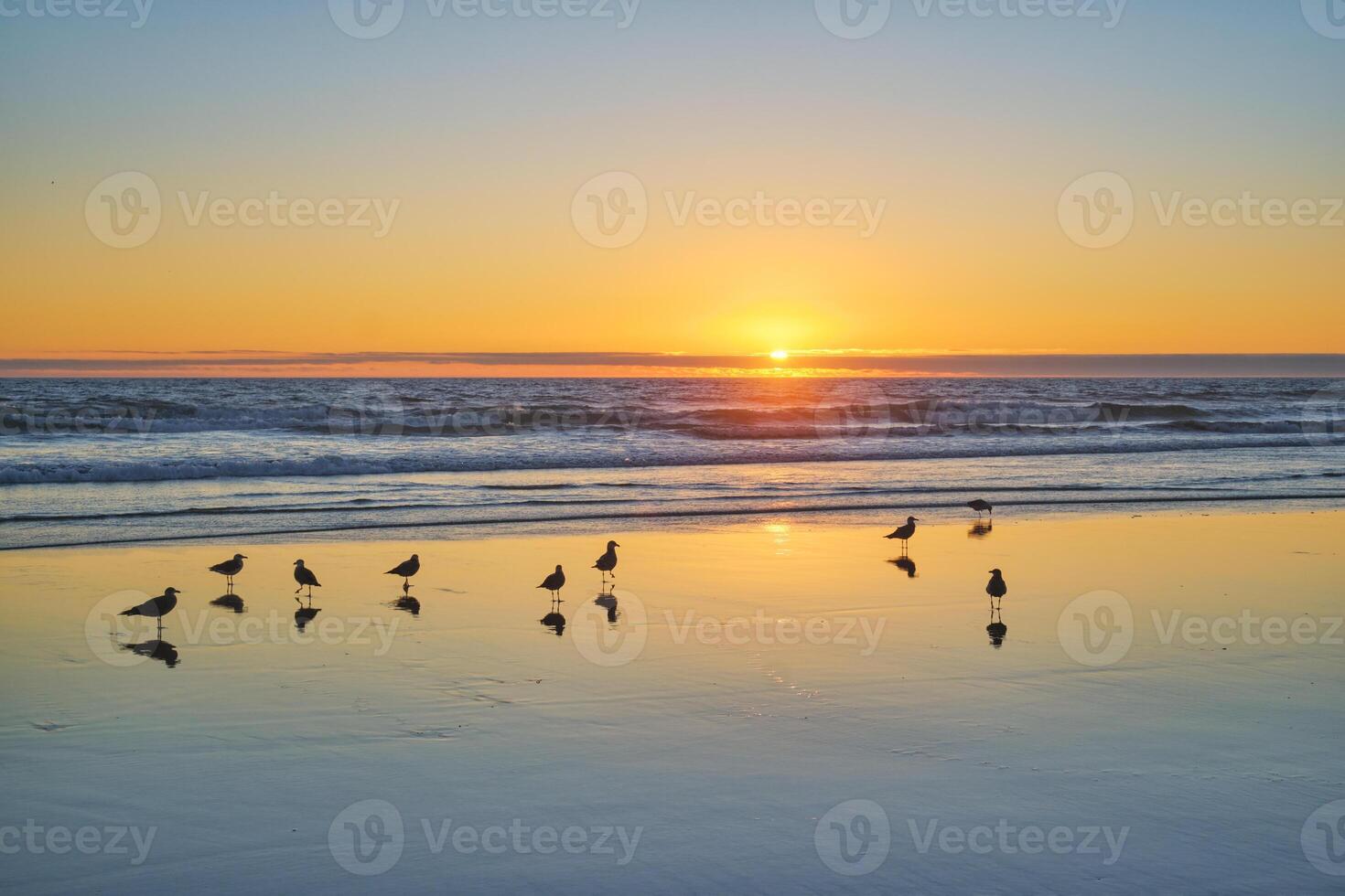 gaviotas en playa atlántico Oceano puesta de sol con surgiendo olas a fonte da telha playa, Portugal foto