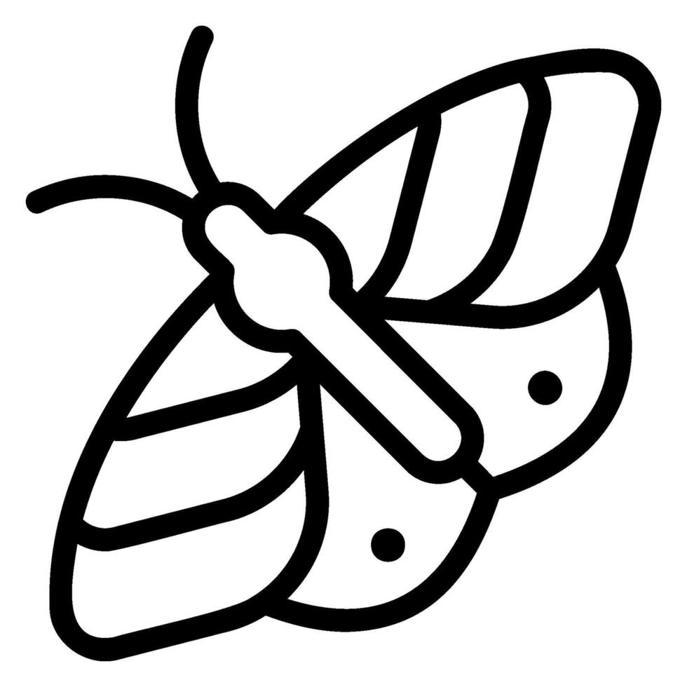 moth line icon vector