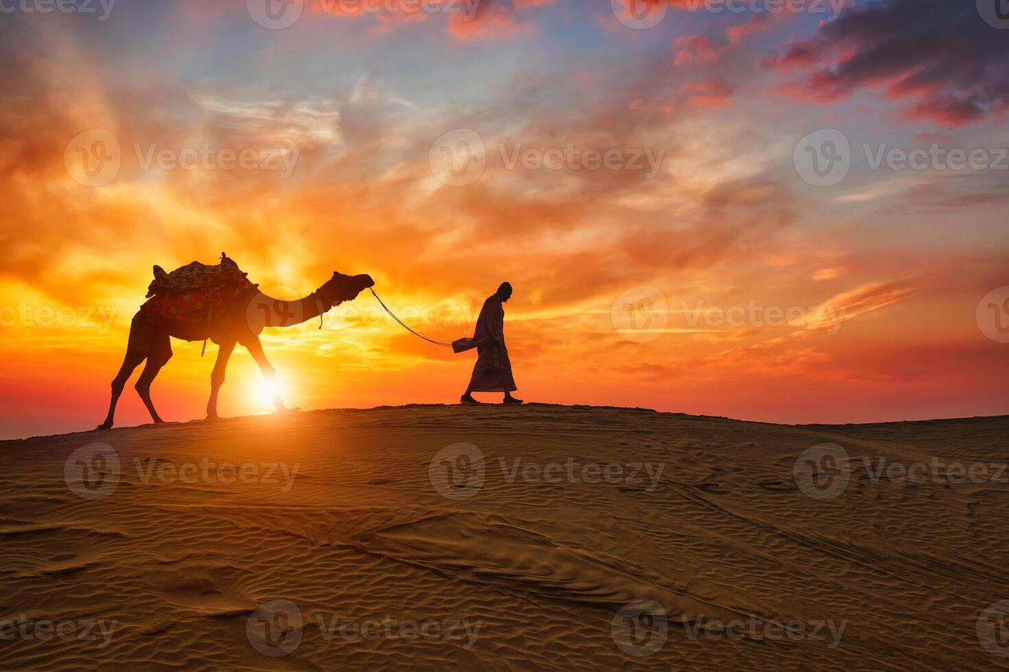 Indian cameleer camel driver with camel silhouettes in dunes on sunset. Jaisalmer, Rajasthan, India photo