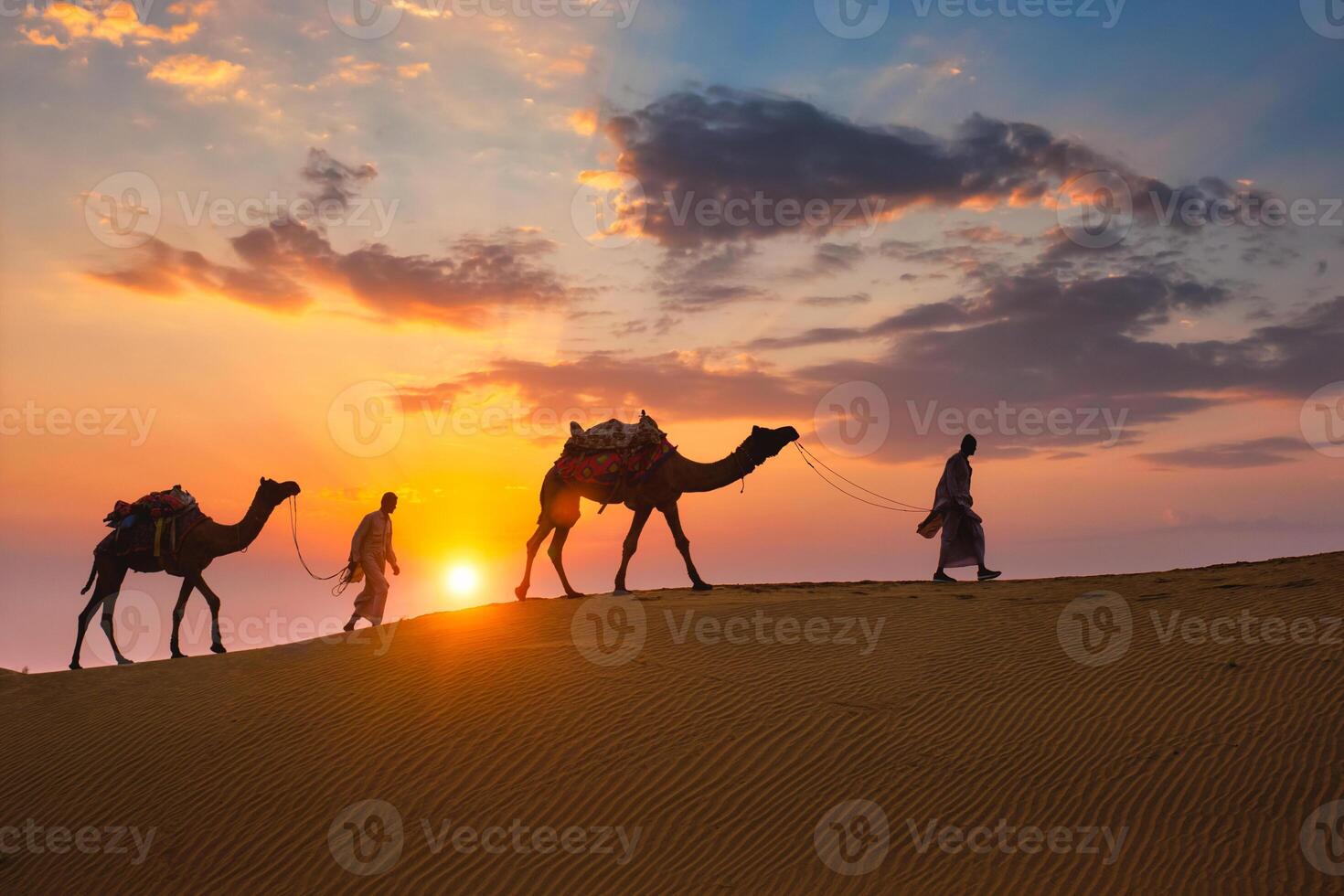 Indian cameleers camel driver with camel silhouettes in dunes on sunset. Jaisalmer, Rajasthan, India photo