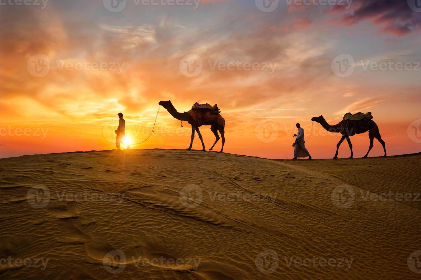 Indian cameleers camel driver with camel silhouettes in dunes on sunset. Jaisalmer, Rajasthan, India photo