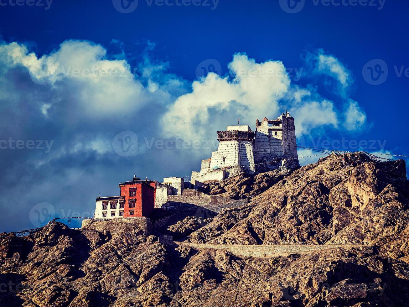 Namgyal Tsem gompa and fort. Leh, Ladakh photo