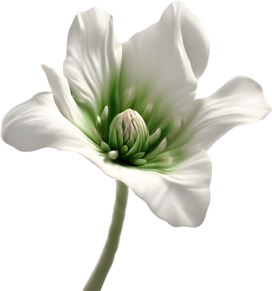 A close-up of a desert wildflower in vibrant colors, with delicate details. Ai-generated. png