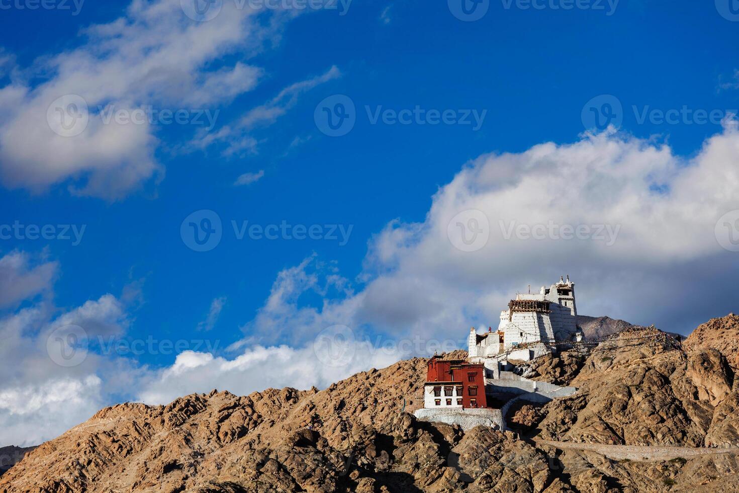 Namgyal Tsemo gompa and fort. Leh, India photo