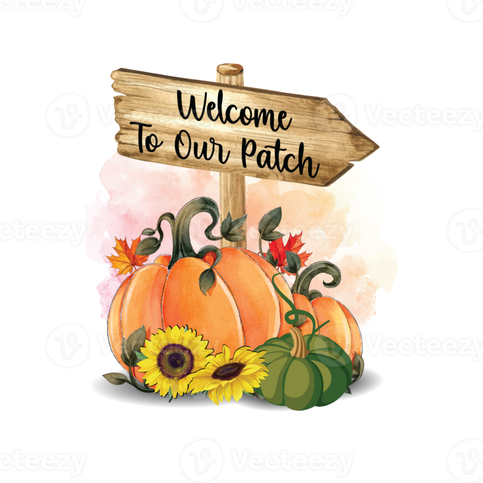 Welcome to our patch pumpkin sunflower autumn leaf png