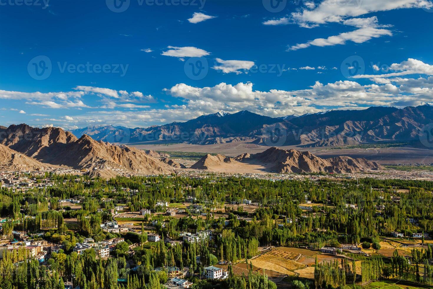 View of Leh, India photo