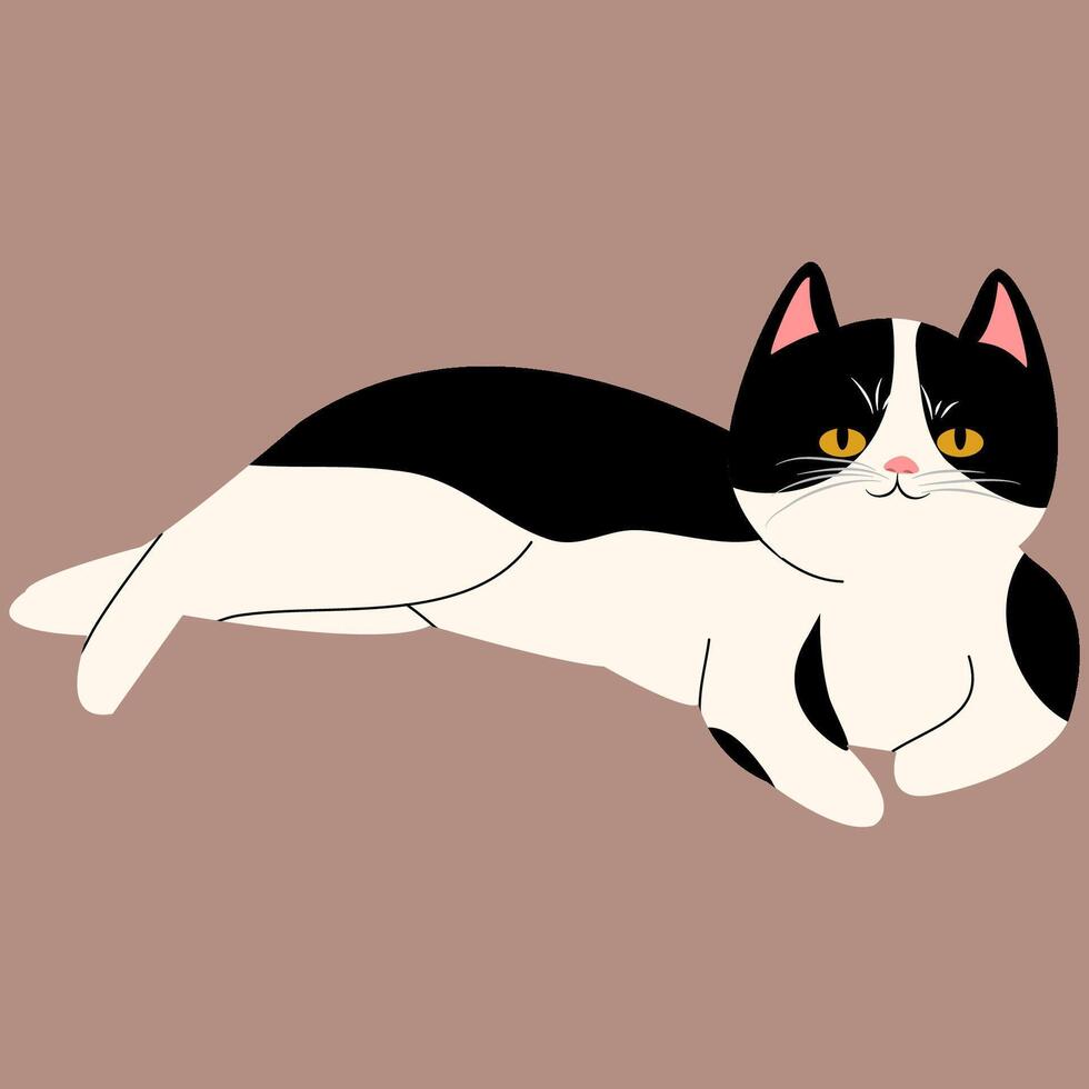 cat different pose draw vector
