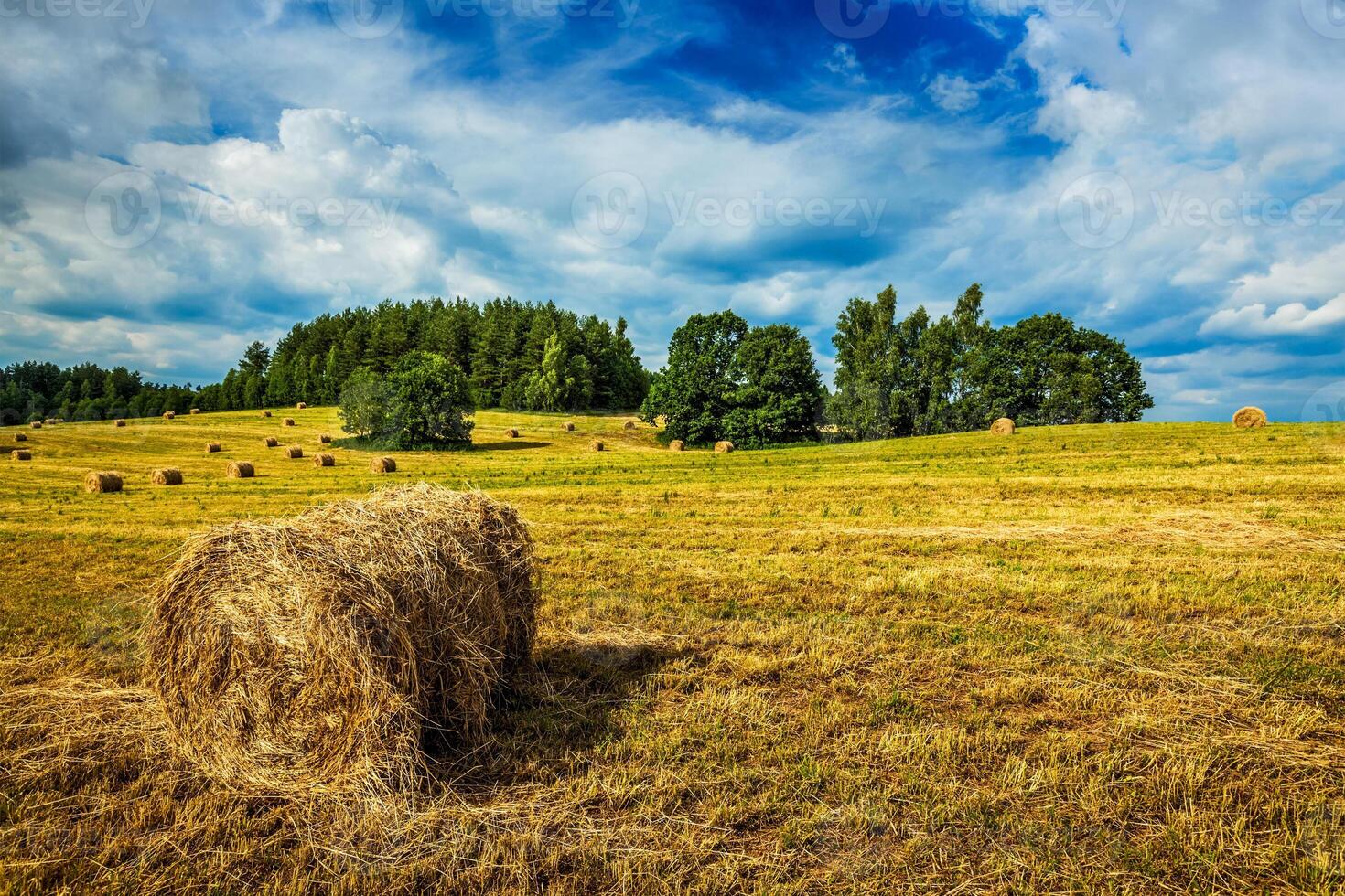 Hay bales on field photo