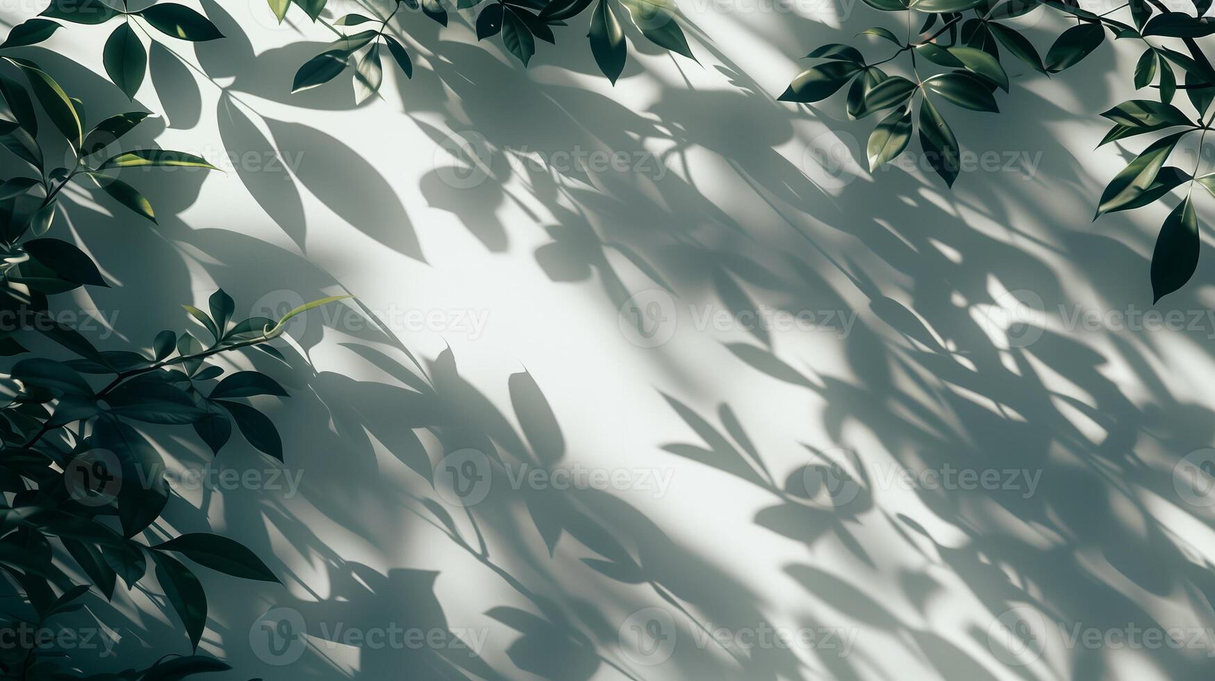 Shadows from leaves on white background in the style of abstract nature. photo
