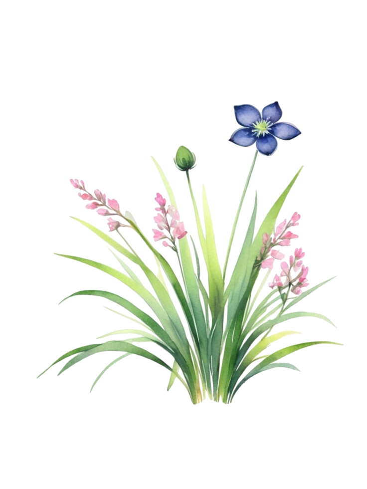 grass clipart transparent background png