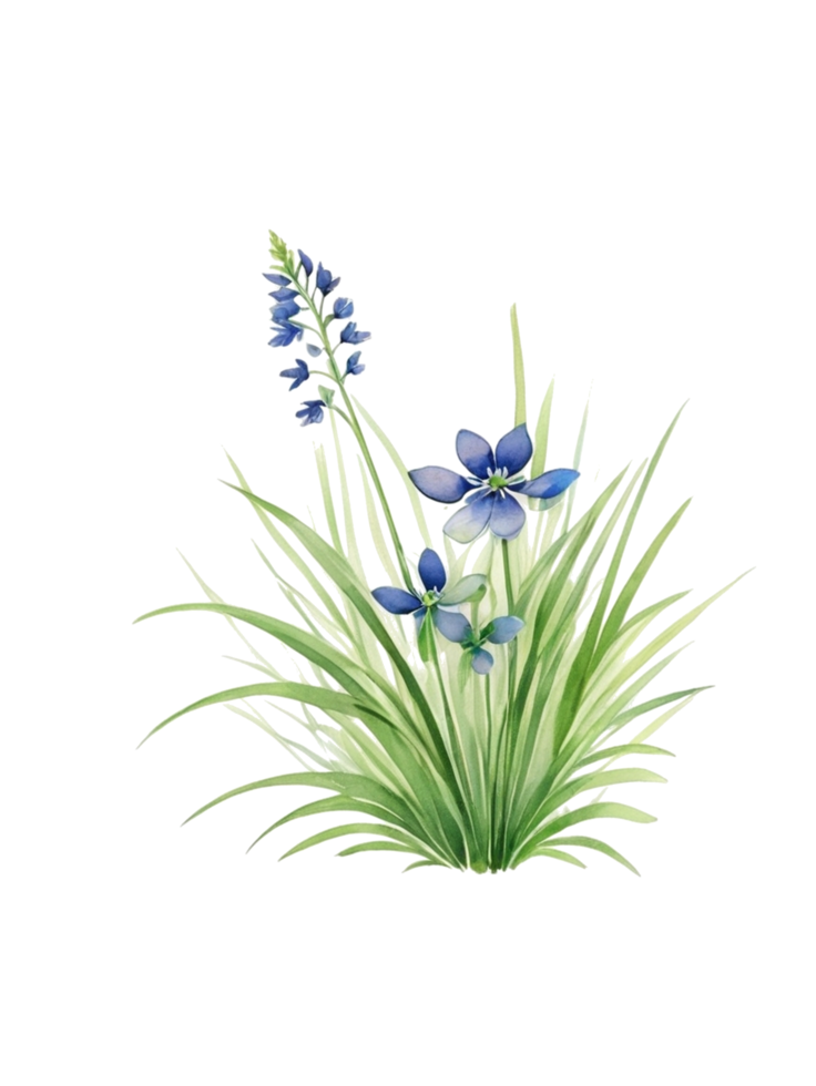 grass clipart transparent background png