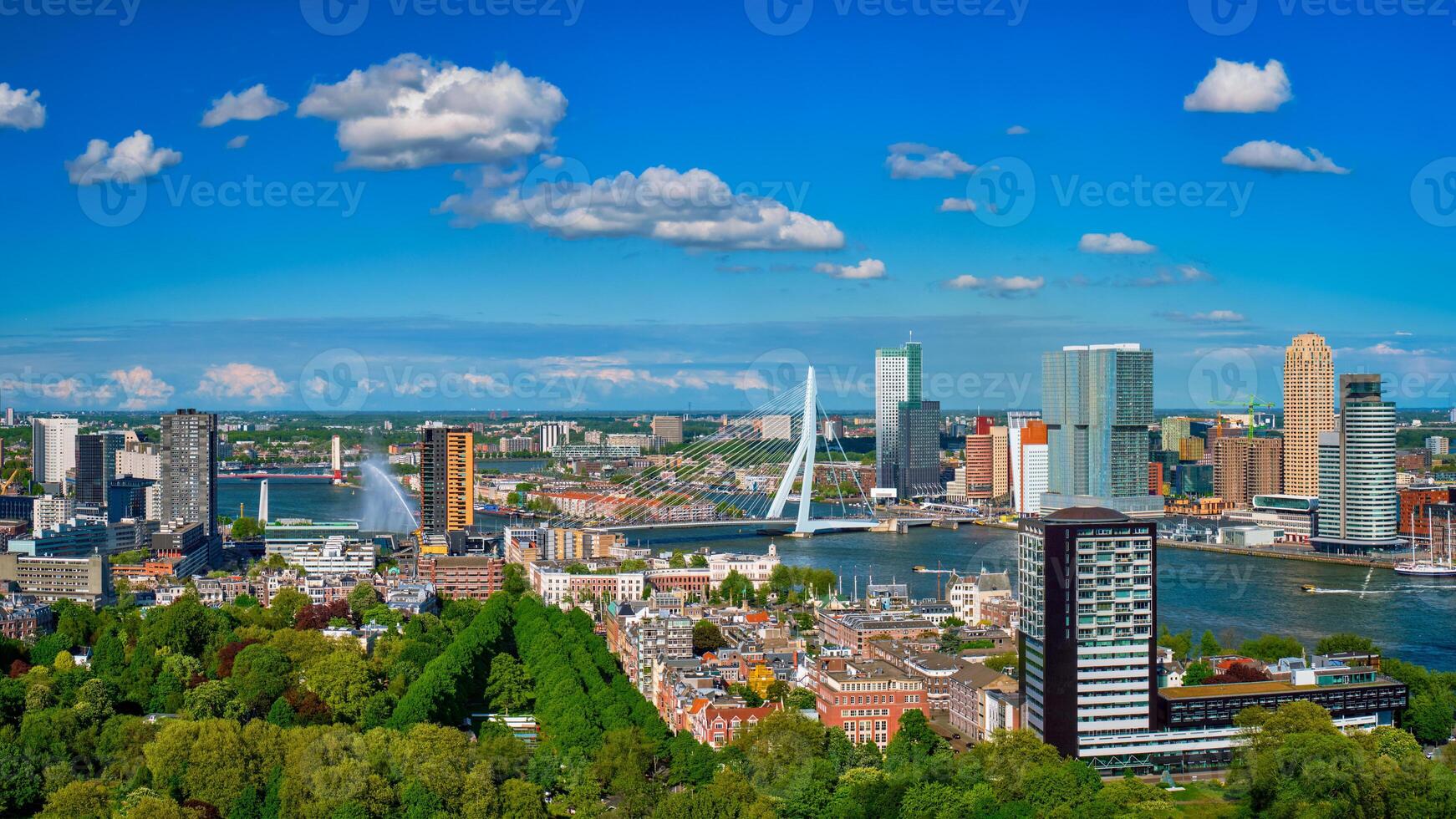 View of Rotterdam city and the Erasmus bridge photo