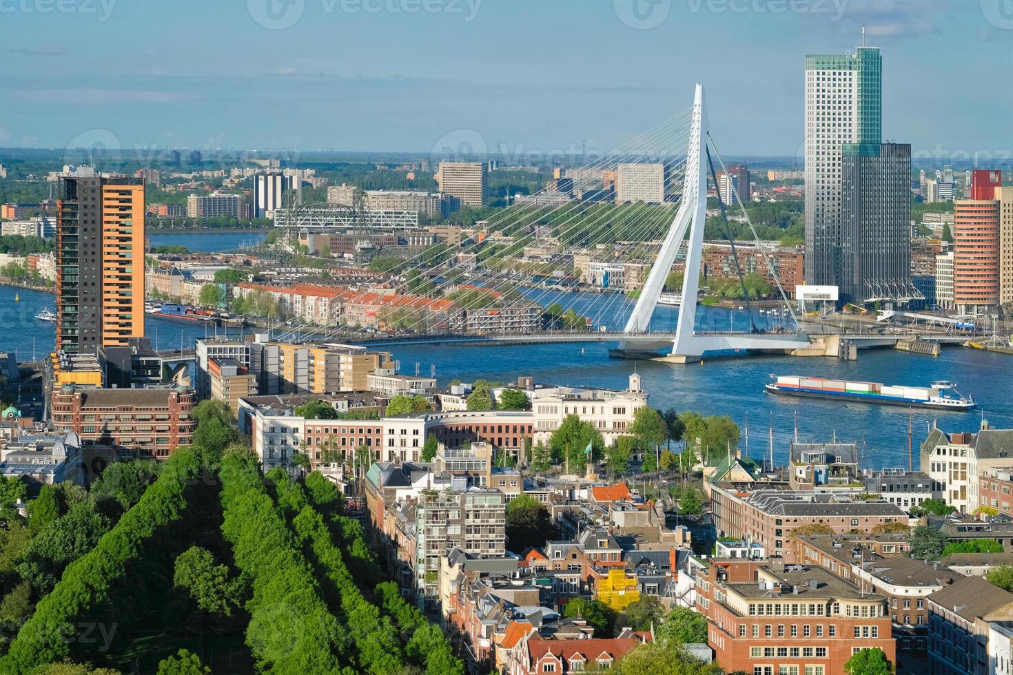 View of Rotterdam city and the Erasmus bridge photo