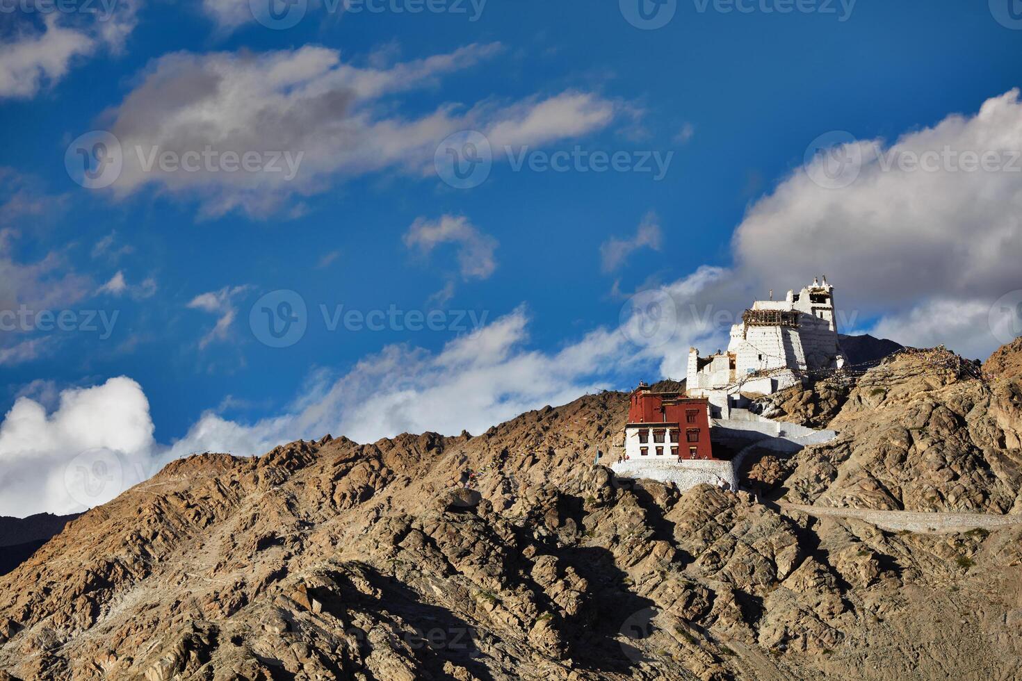 Namgyal Tsemo gompa and fort. Leh, Ladakh, photo