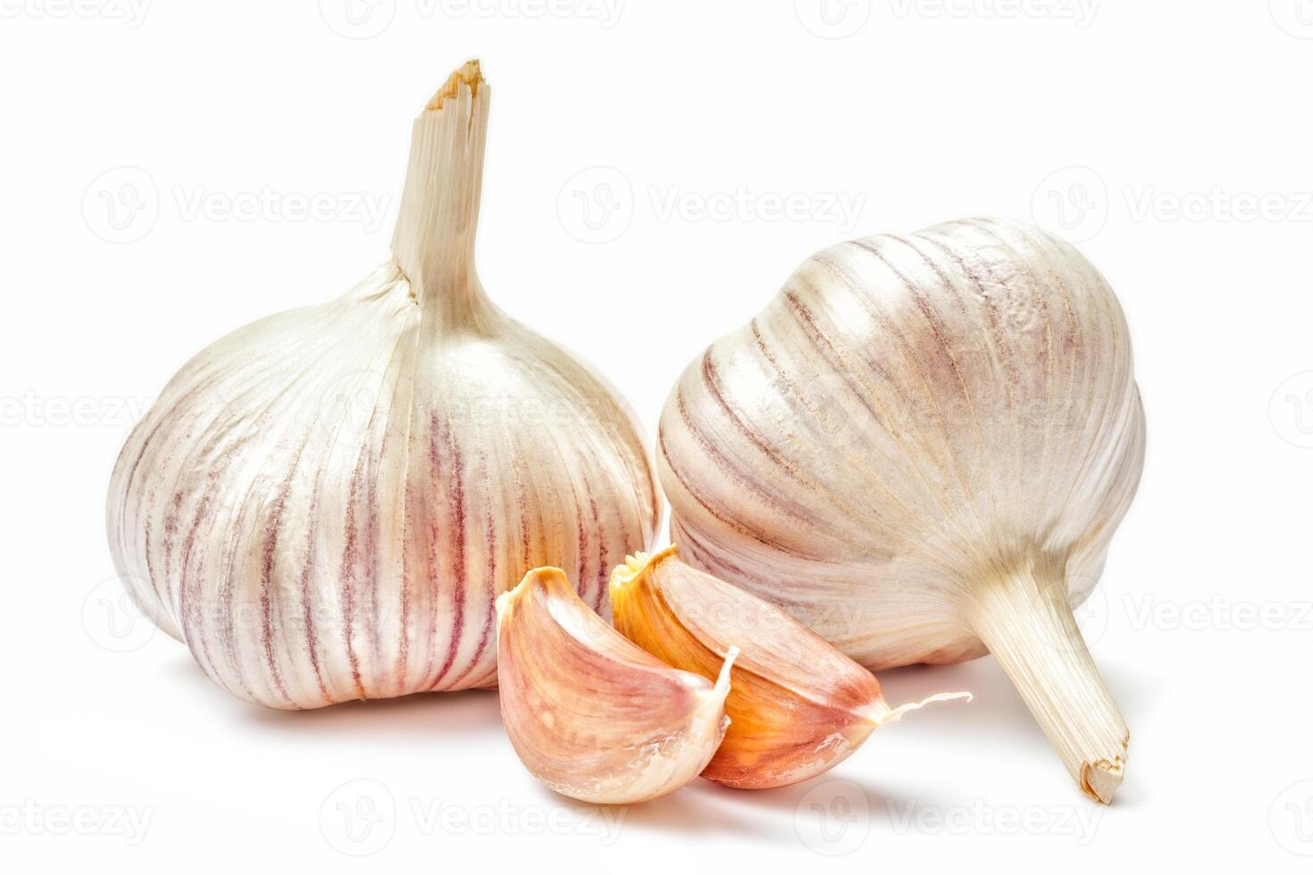 Garlic isolated on white photo