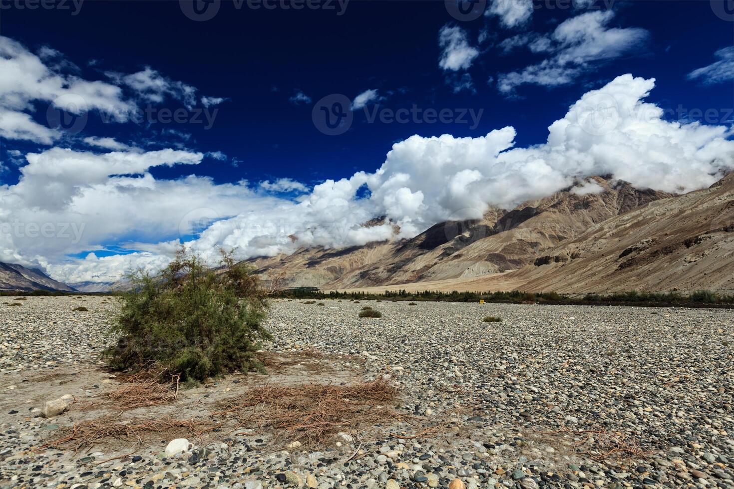 Nubra valley in Himalayas. Ladakh, India photo