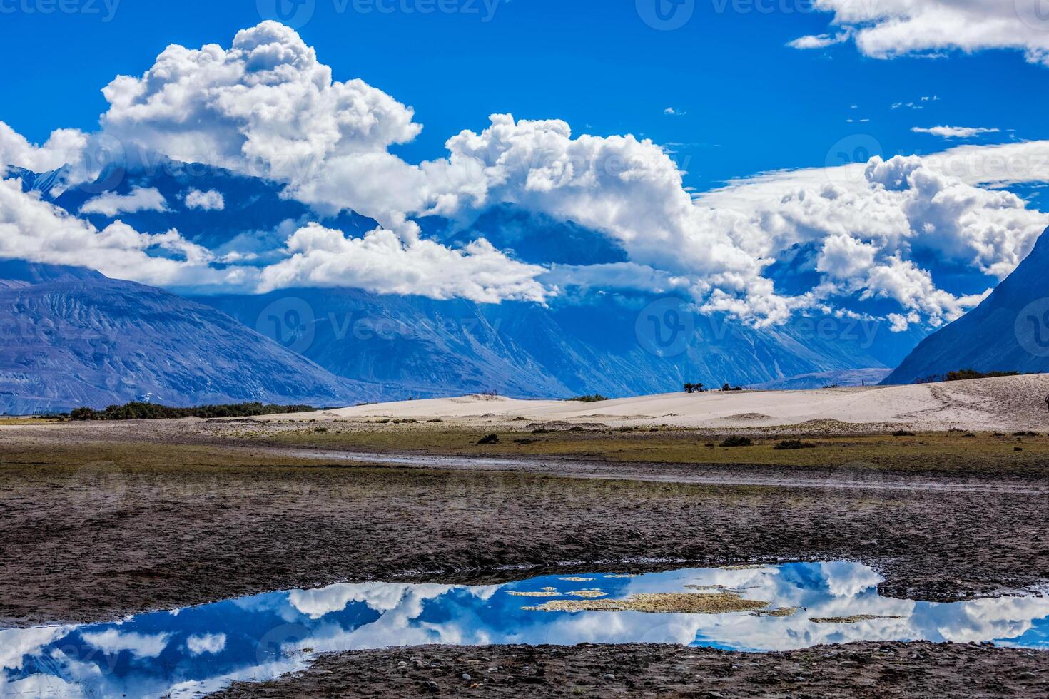 Nubra valley, Ladakh, India photo