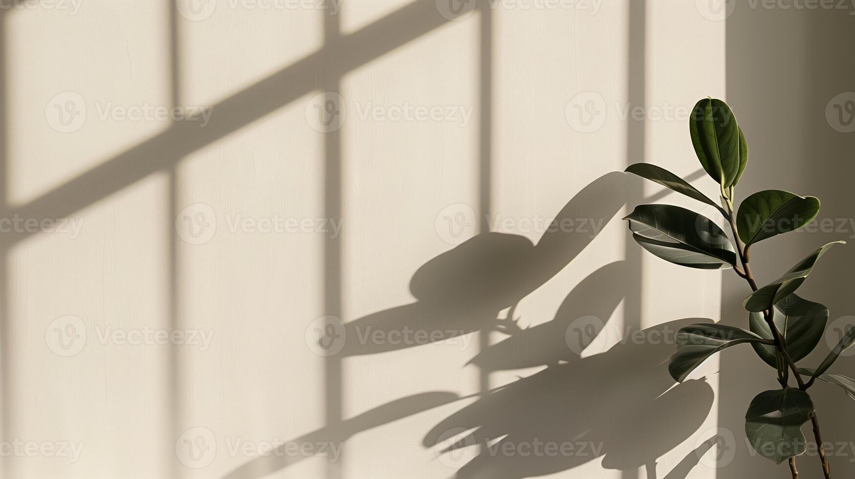 The shadow from plants cast on an empty wall. photo