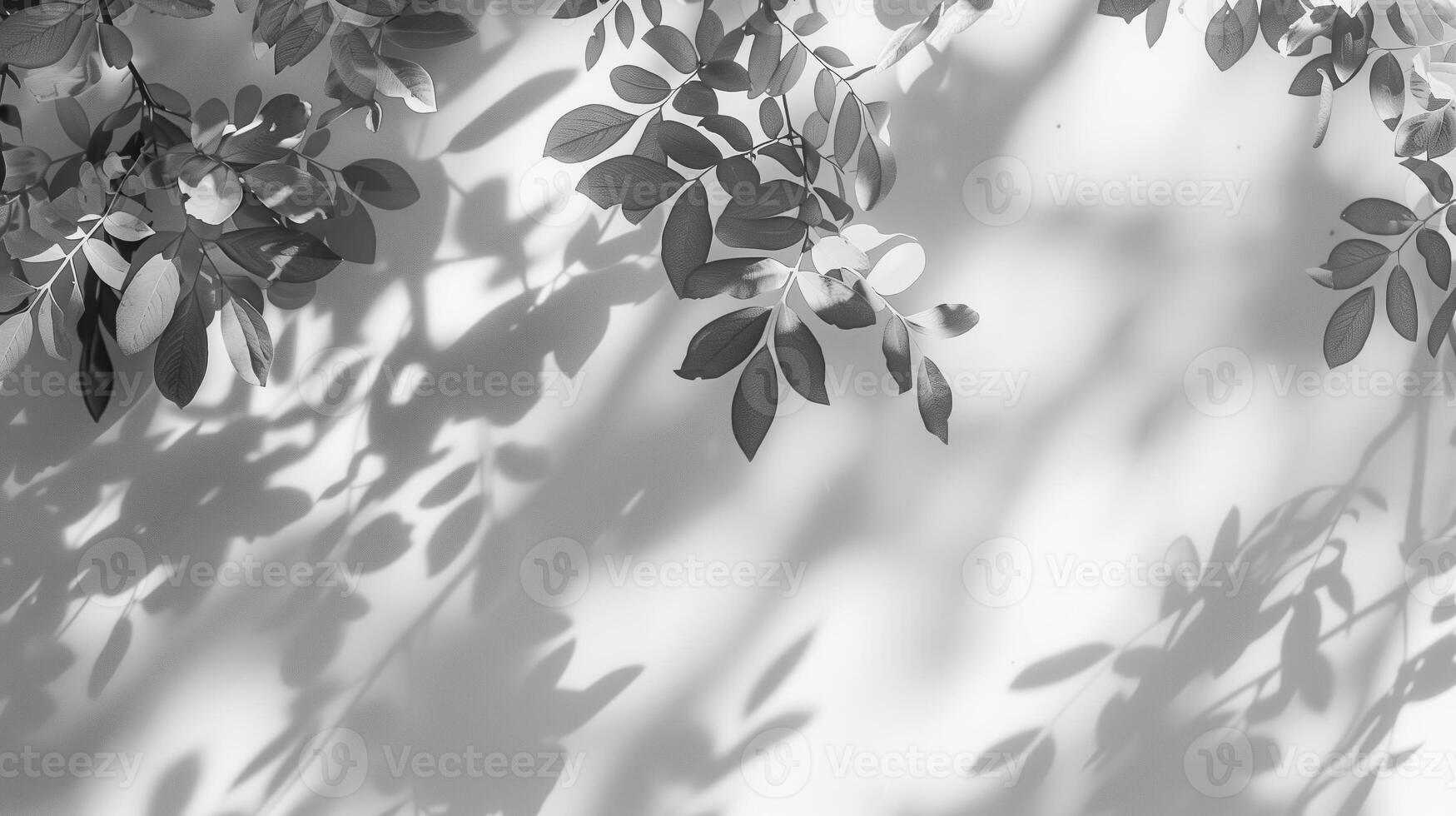Shadows from leaves on white background in the style of abstract nature. photo