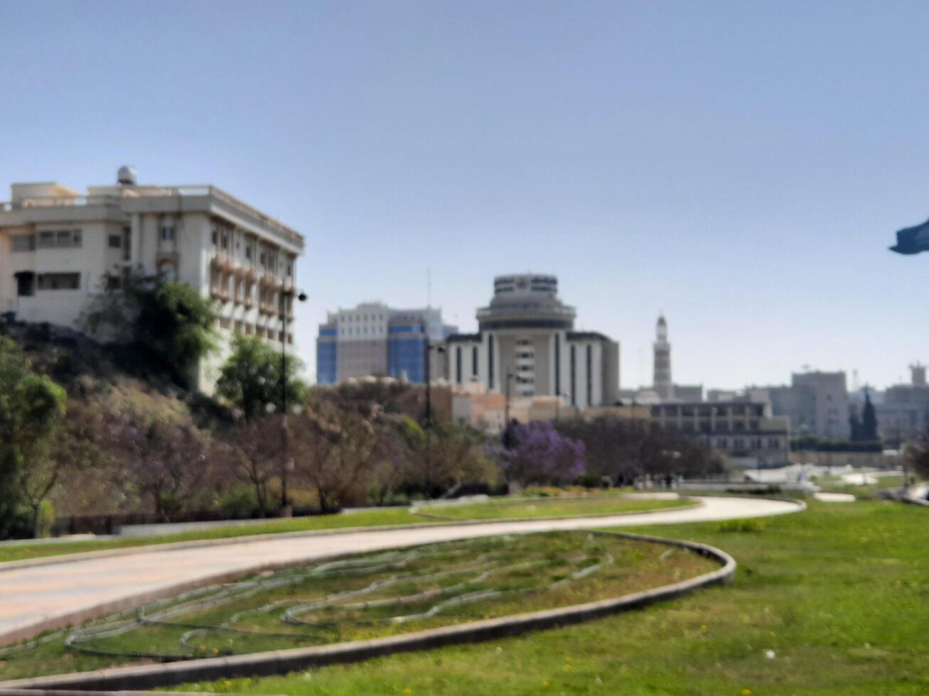 Abha, Saudi Arabia, 12 April 2024 - A beautiful view of trees and grass in a park near the famous The Art Street in Abha, Saudi Arabia. photo