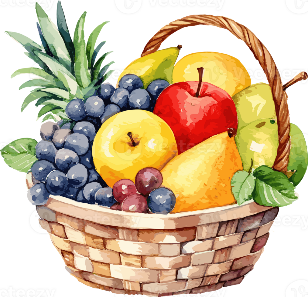Basket with fresh fruits. Watercolor hand drawn illustration isolated png