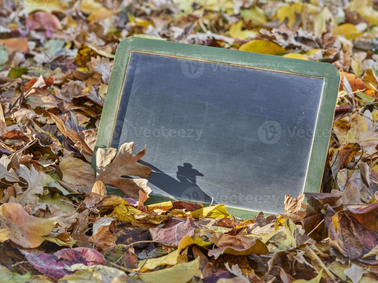 blank, retro, slate blackboard photo