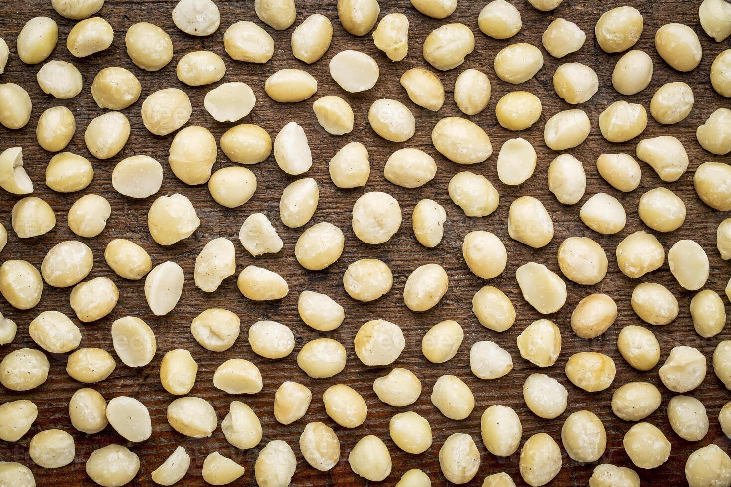 macadamia nuts background texture photo