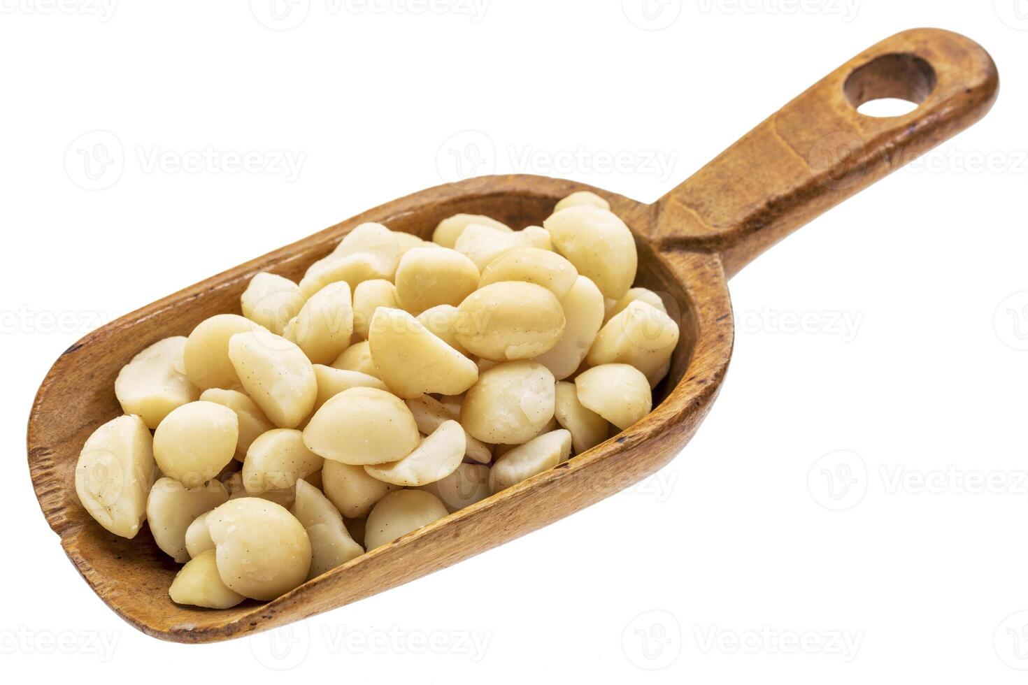 rustic scoop of macadamia nuts photo
