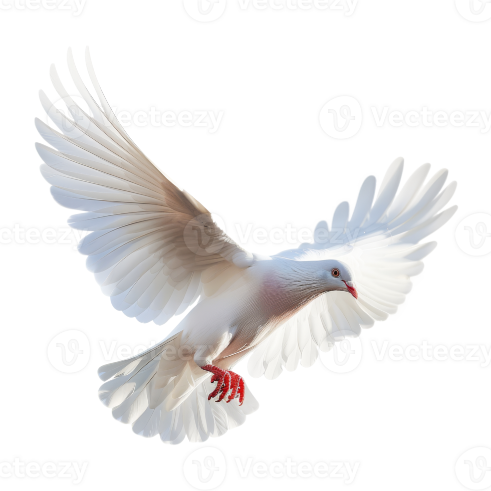 Majestic white pigeon soaring gracefully in serene skies, captured at the peak of flight png
