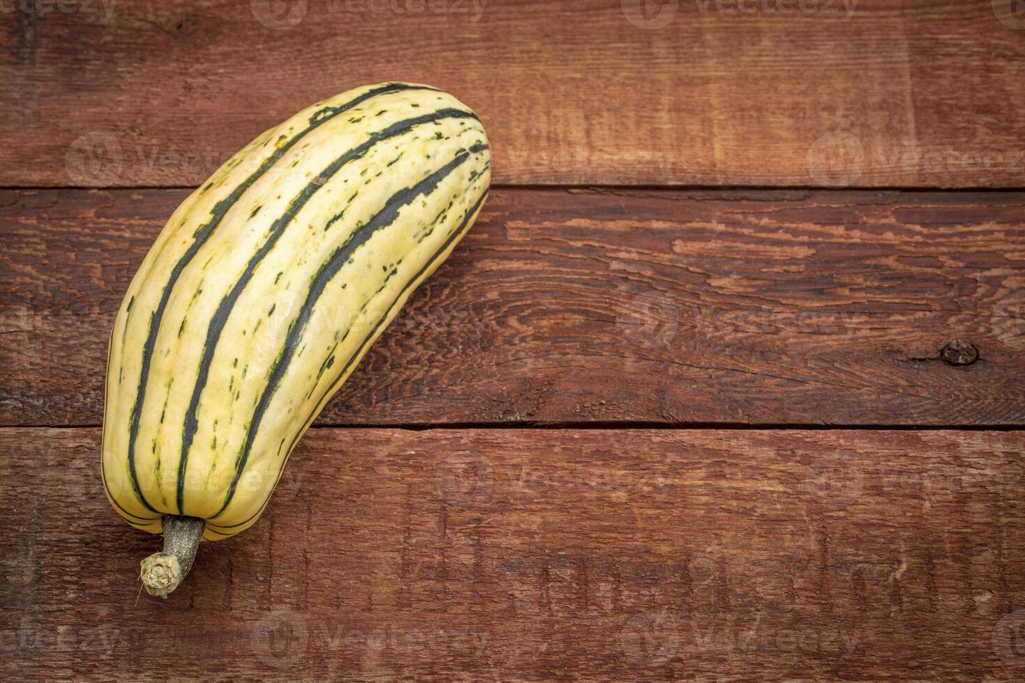 delicata winter squash photo