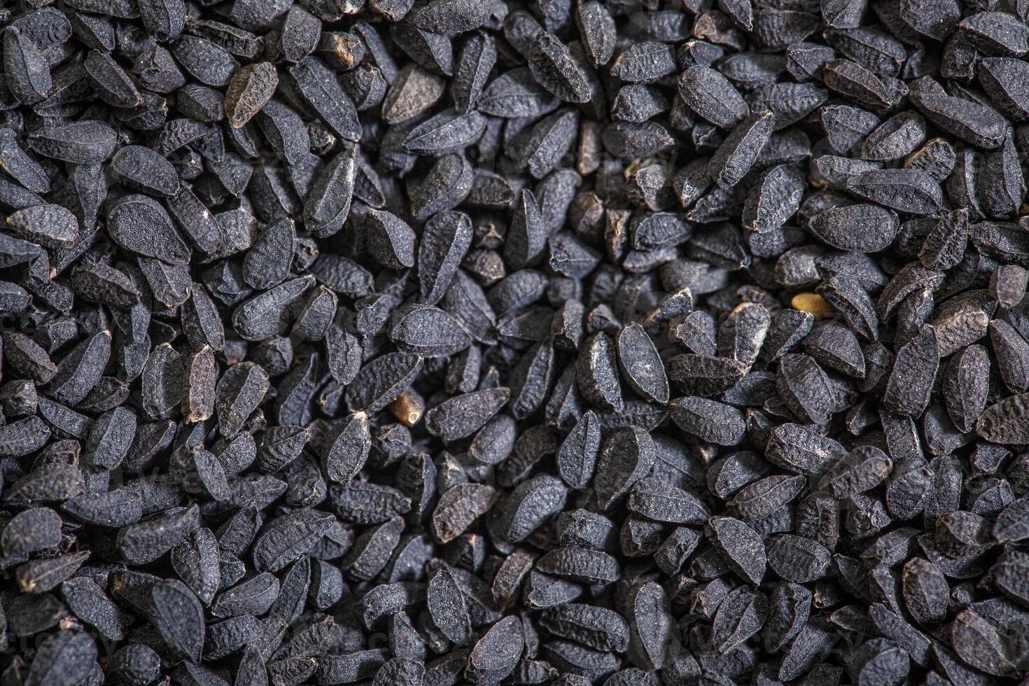 black cumin seeds photo