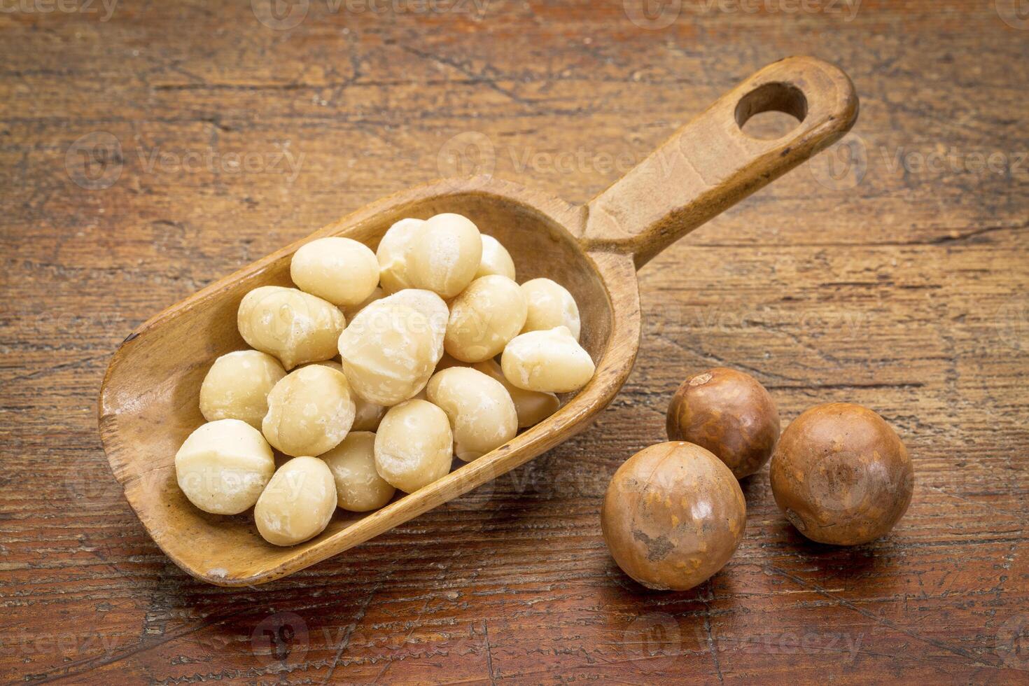 scoop of macadamia nuts photo