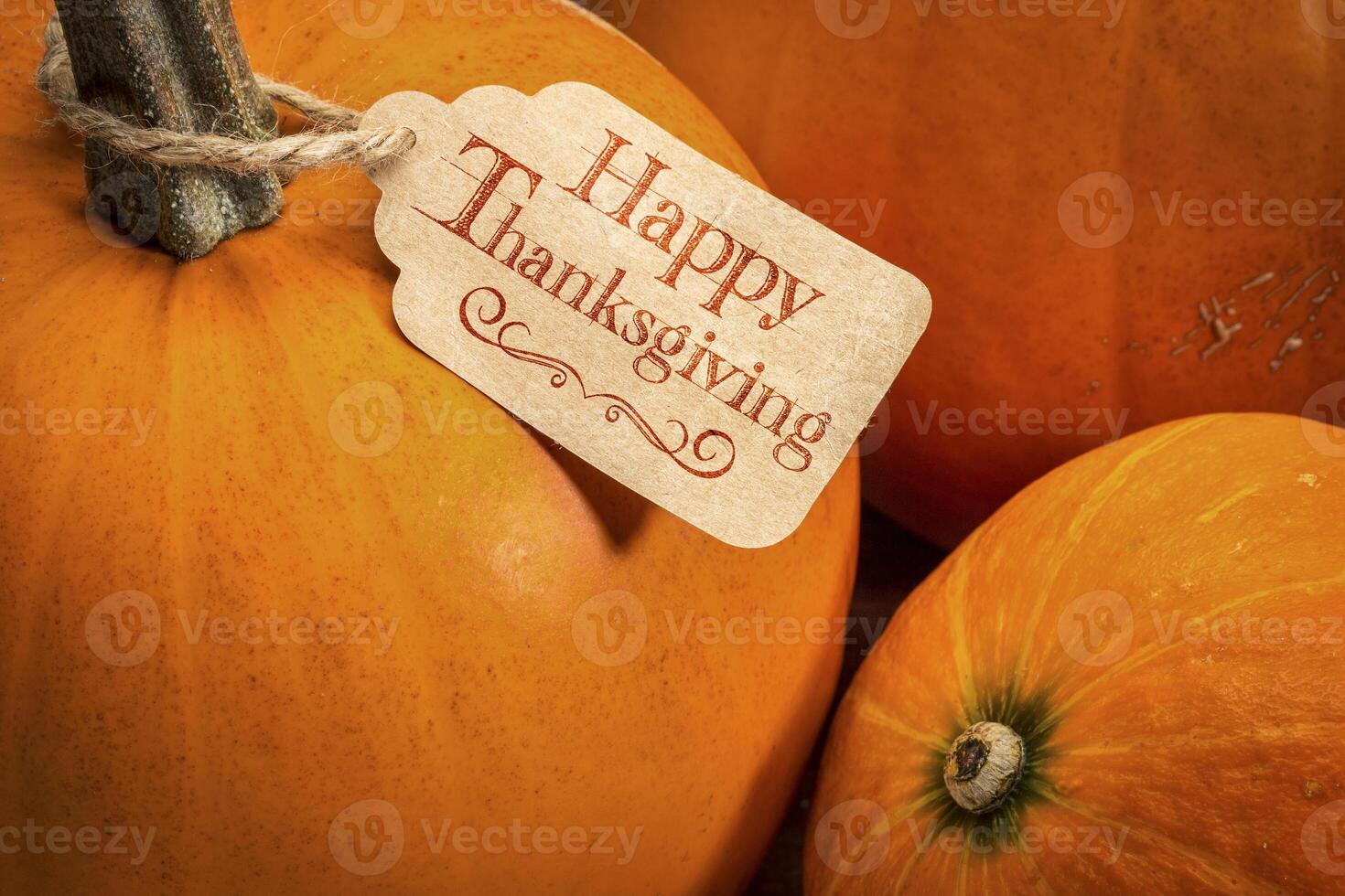 pumpkin with Happy Thanksgiving tag photo
