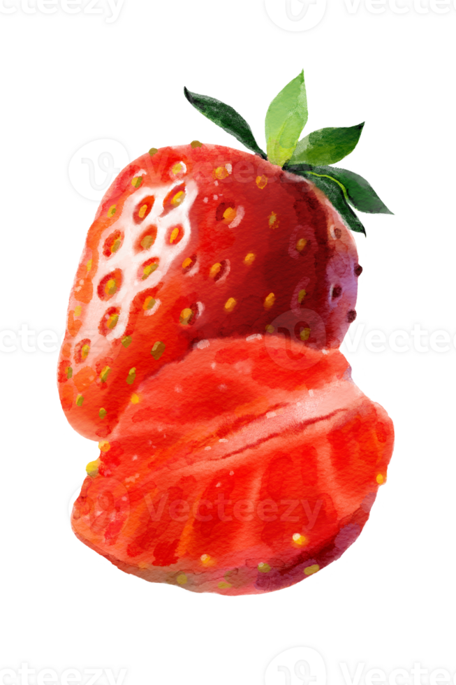 Strawberry hand-painted watercolor illustration png