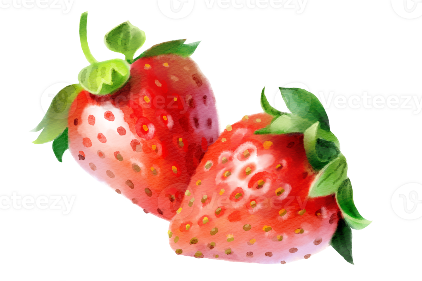 Strawberry hand-painted watercolor illustration png