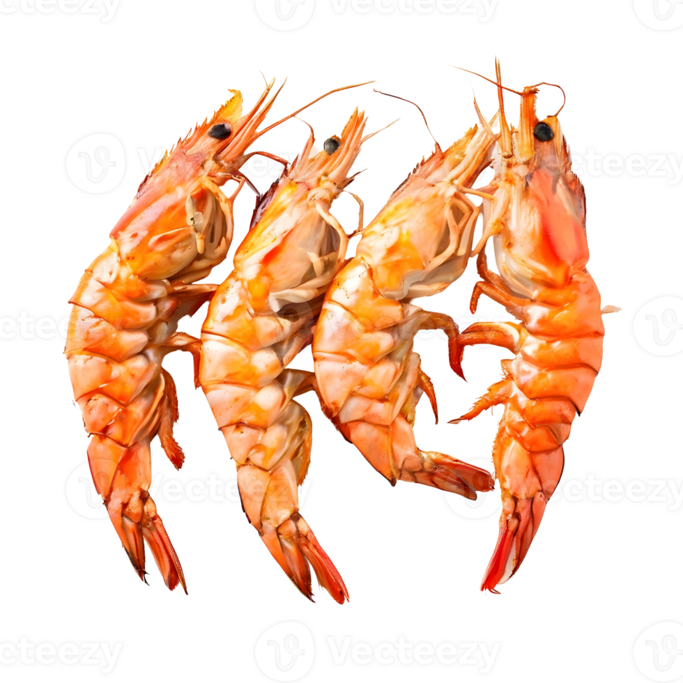 Roasted peeled prawn, Grilled shrimp isolated on transparent background, cut out, or clipping path. png
