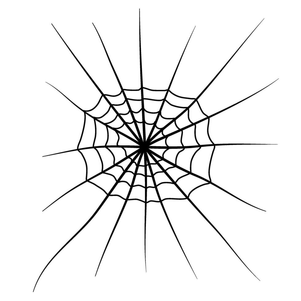 cobweb flat illustration for your design decoration. spider web illustration. vector