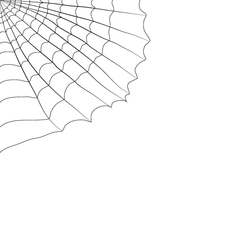cobweb flat illustration for your horror design decoration. spider web illustration. vector