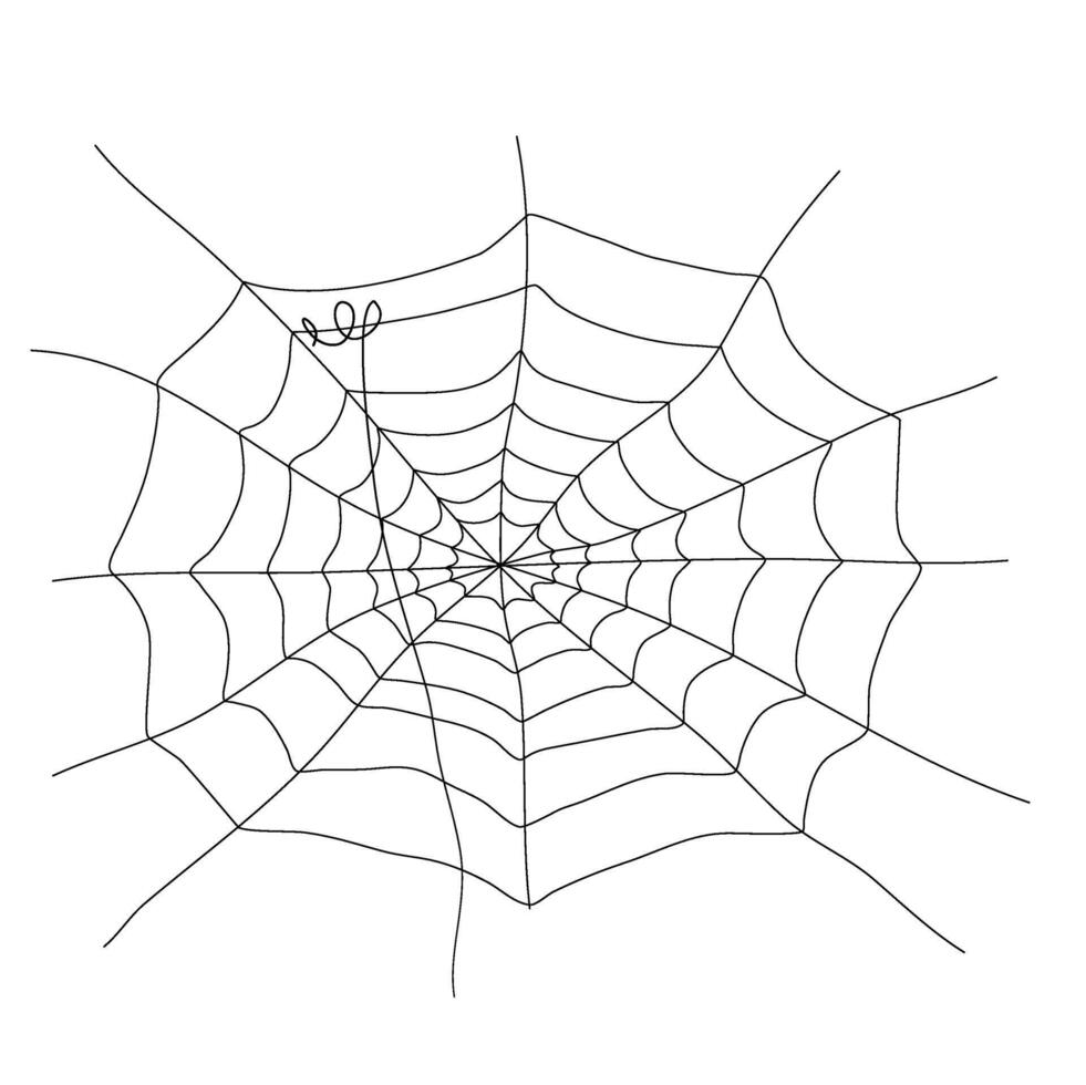 cobweb flat illustration for your design decoration. spider web illustration. vector