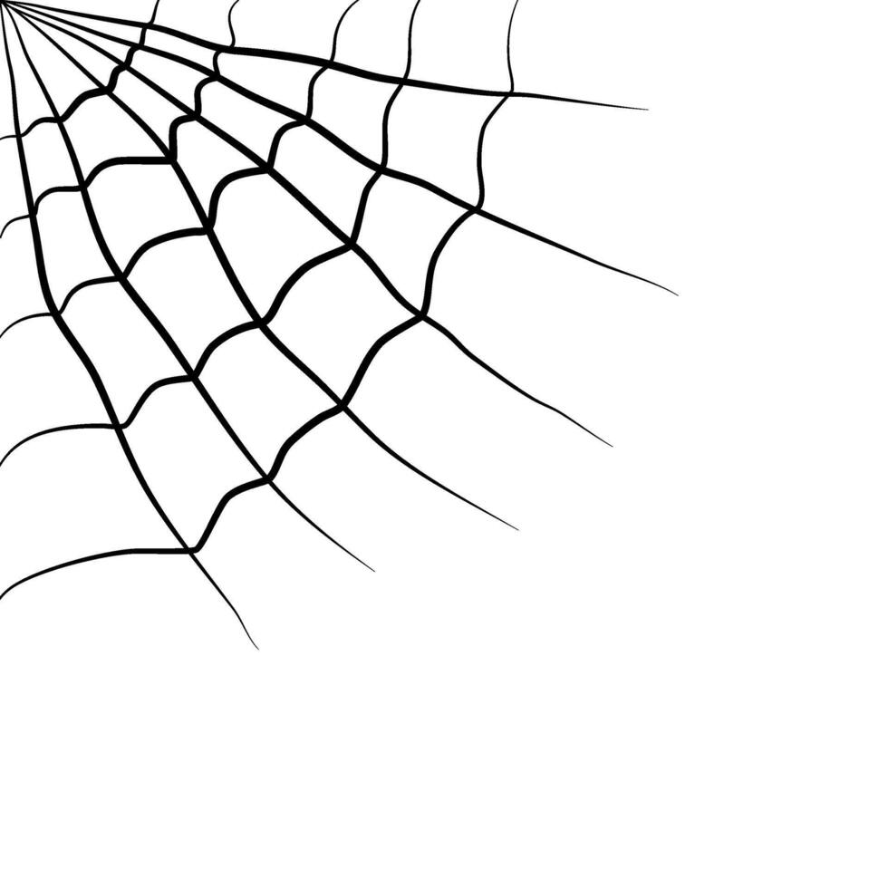 illustration of a spider web for your horror design decoration. cobweb illustration. vector