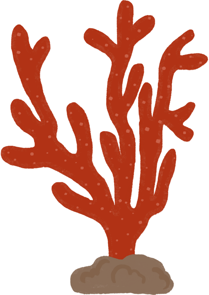 red coral cartoon clipart png