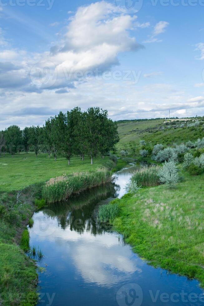 Beautiful summer landscape with green trees, green meadows on the bank of the river in Republic of Moldova. photo